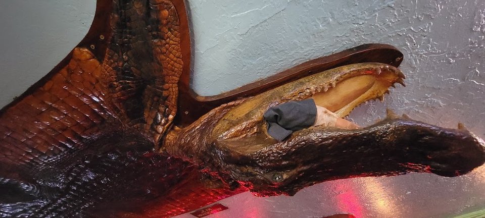 Gator & Foot